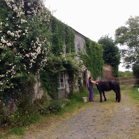 Ballyrider House Pensjonat *